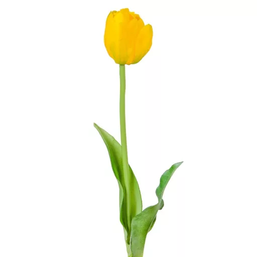Tulipán szálas gumi mix M38cm 48db/#