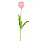 Tulipán szálas gumi rózsaszín M40cm 48db/#