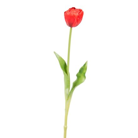 Tulipán szálas gumi piros M40cm 48db/#