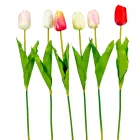 Tulipán szálas mix M60cm 48db/#