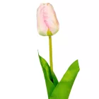 Tulipán szálas mix M60cm 48db/#