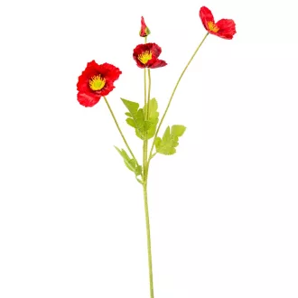 Pipacs ág 4v. M58cm 24db/#