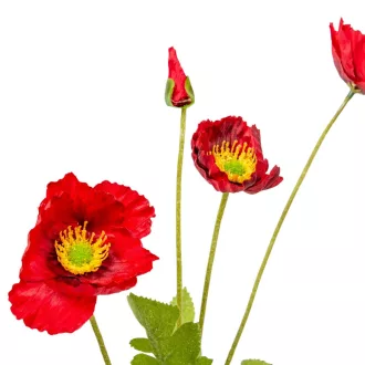 Pipacs ág 4v. M58cm 24db/#