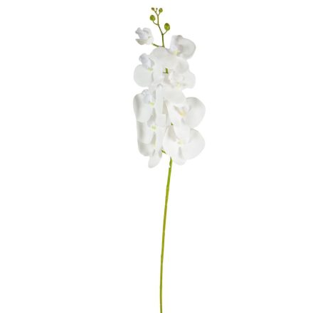 Orchidea szálas gumi fehér 
M100cm 24db/#