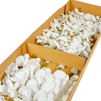 Orchidea szálas gumi fehér 
M100cm 24db/#