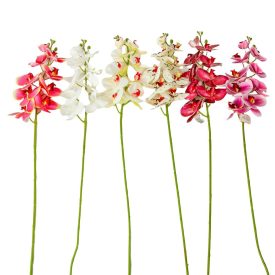 Orchidea szálas gumi mix M98cm 24db/#