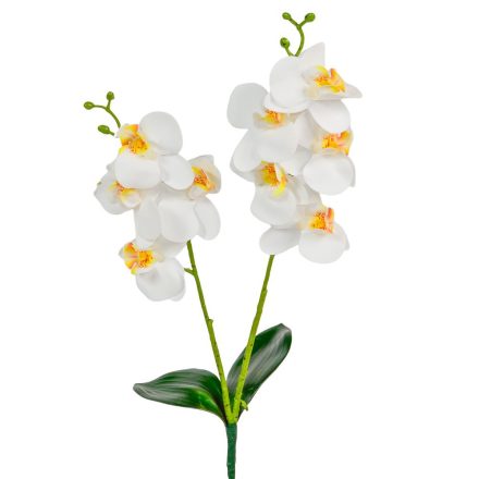 Orchidea ág gumi M46cm 48db/#