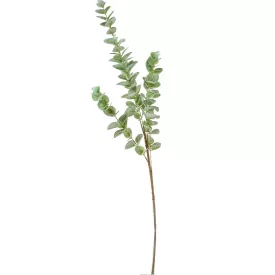 Eukaliptusz ág M95cm 40db/#