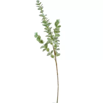 Eukaliptusz ág M95cm 40db/#