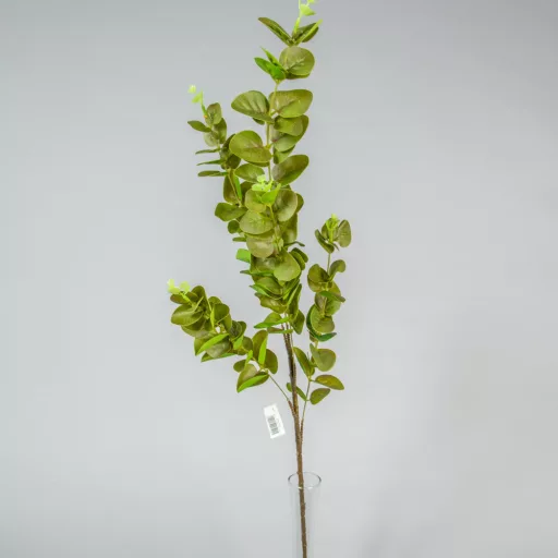 Eukaliptusz ág M95cm 40db/#