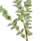 Eukaliptusz ág M95cm 40db/#