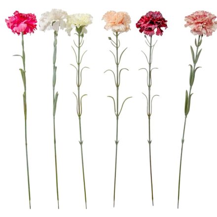 Szegfű szálas M53cm 72db/#