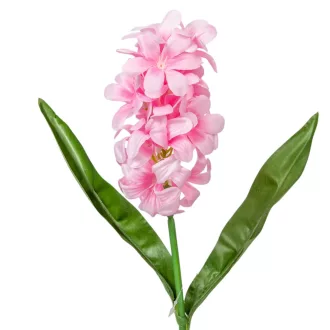 Jácint szálas M38cm 36db/#