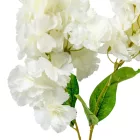 Virágos ág 2v. krém M73cm 24db/#