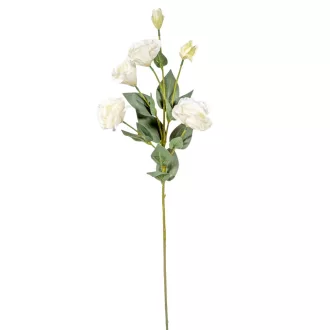Liziantusz ág 6v. krém M80cm 24db/#