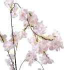 Barack ág világos rózsaszín M110cm 48db/#