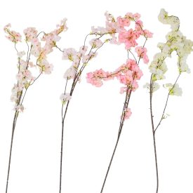 Barack ág mix M110cm 48db/#