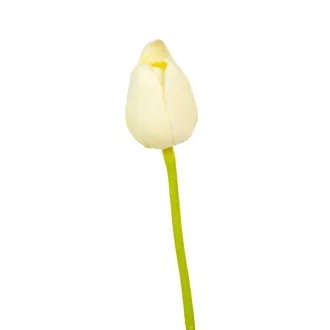 Tulipán szálas gumi M46cm 72db/#