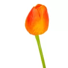 Tulipán szálas gumi mix M46cm 72db/#