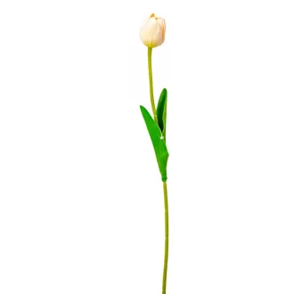 Tulipán szálas gumi M46cm 72db/#