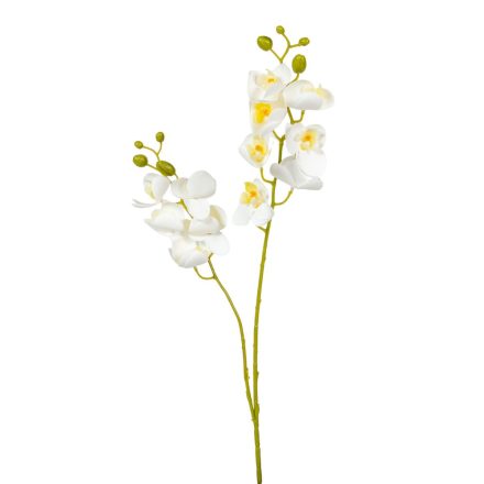 Orchidea szálas gumi M56cm 48db/#