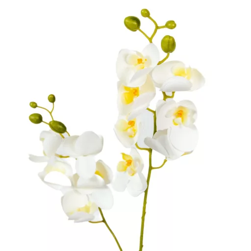 Orchidea szálas gumi krém M56cm 48db/#