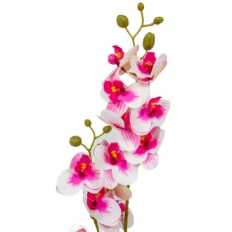 Orchidea szálas gumi M56cm 48db/#