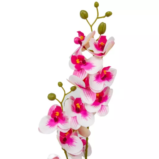 Orchidea szálas gumi M56cm 48db/#