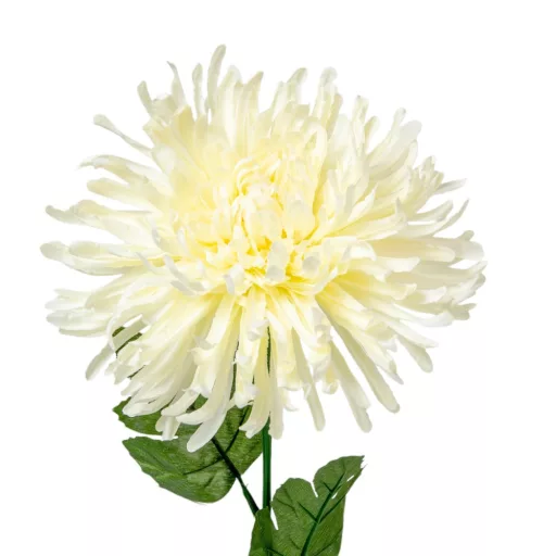 Krizantém szálas krém M70cm 48db/#