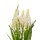 Gyöngyike gumi M29cm 36db/#