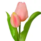 Hagymás tulipán gumi 2v. rózsaszín M25cm 24db/#
