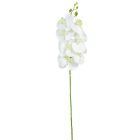 Gumi orchidea ág M78cm 48db/#