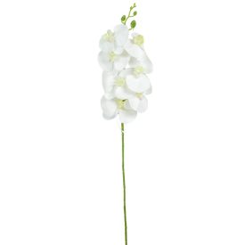 Gumi orchidea ág M78cm 48db/#