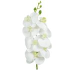 Gumi orchidea ág M78cm 48db/#