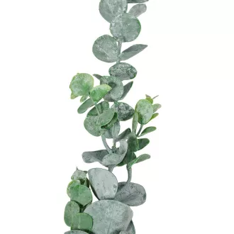 Eukaliptusz ág M68cm 36db/#