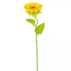 Napraforgó szálas M47cm 48db/#