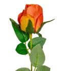 Rózsa szálas mix M52cm 45db/#