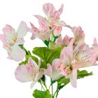 Asztroméria ág mix M64cm 24db/#