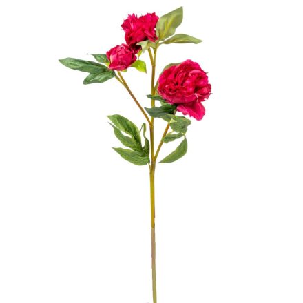 Peonia ág 3v. burgundy M75cm 24db/#