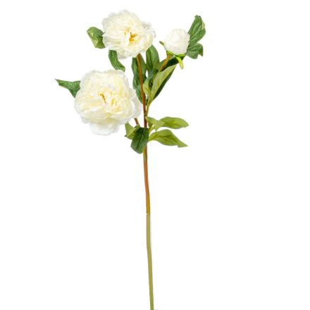 Peonia ág 3v. krém M75cm 24db/#