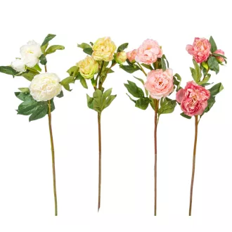 Peonia ág 3v. mix M75cm 24db/#