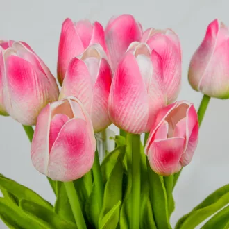 Tulipán köteg gumi 10szál M33cm 12db/#
