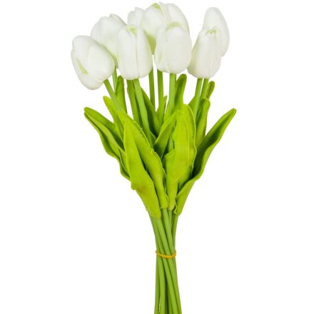 Tulipán köteg gumi 10szál M33cm 12db/#