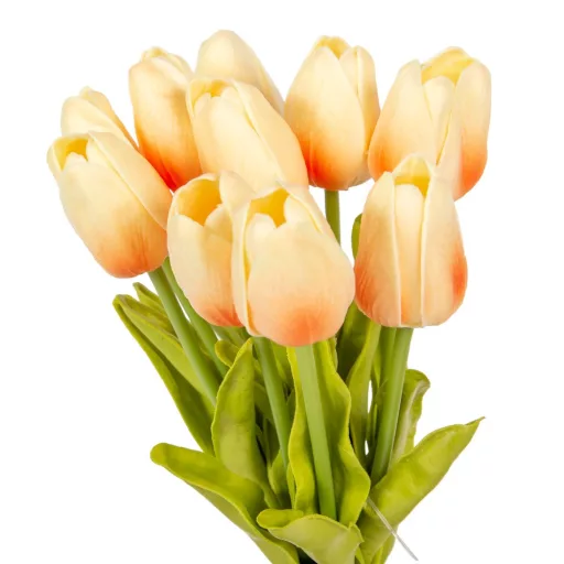 Tulipán köteg gumi 10szál M33cm 12db/#