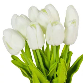 Tulipán köteg gumi 10szál M33cm 12db/#