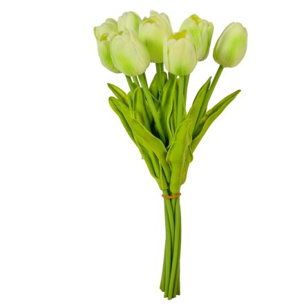 Tulipán köteg gumi 10szál M33cm 12db/#