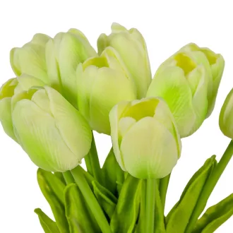 Tulipán köteg gumi 10szál M33cm 12db/#