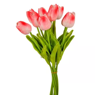 Tulipán köteg gumi 10szál M33cm 12db/#