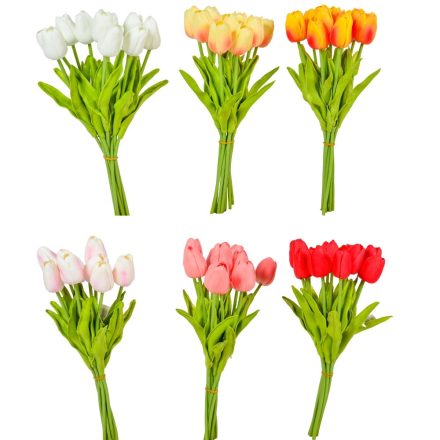 Tulipán köteg gumi 10szál M33cm 12db/#