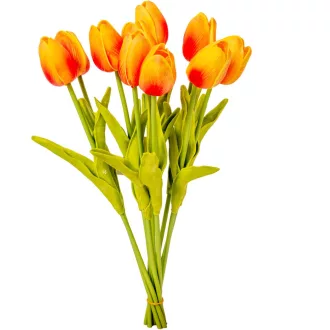Tulipán köteg gumi 10szál M33cm 12db/#